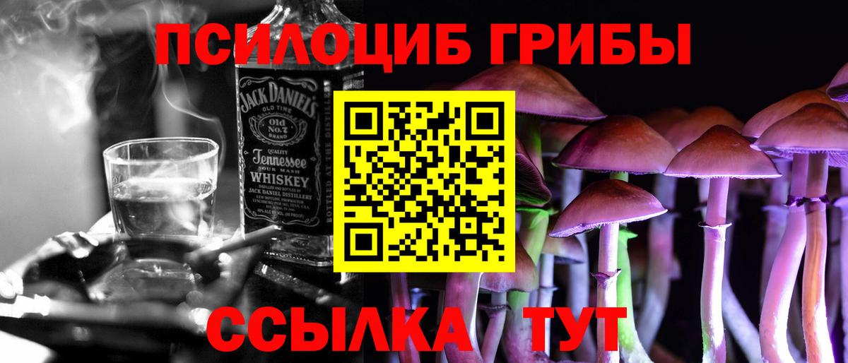 Псилоцибиновые грибы Psilocybe Домодедово